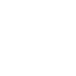 Team Fu Martial Arts