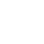 Crazy Bull logo white