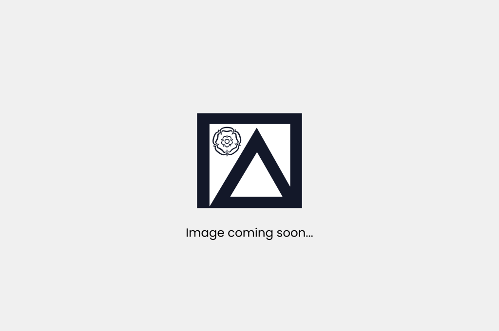 Image coming soon